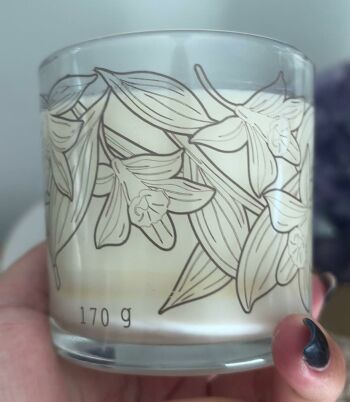 Imagem de Vela Aromática DB 170g